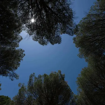 Rami Rural Con Piscina E Vicino Al Mare