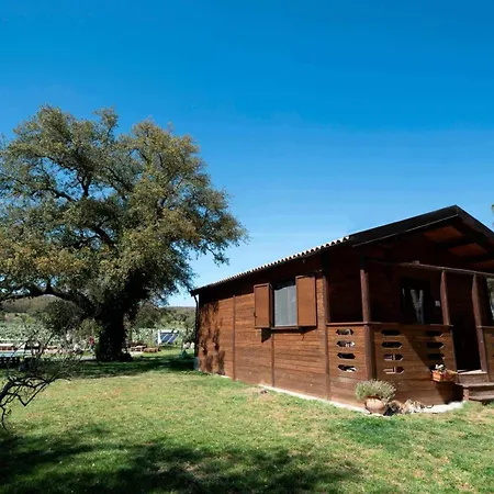 Rami Rural Con Piscina E Vicino Al Mare Çiftlik konaklama