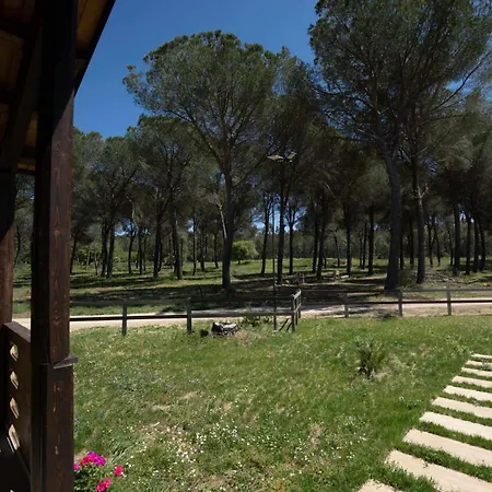 Çiftlik konaklama Rami Rural Con Piscina E Vicino Al Mare *